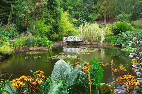 Hobart City Sightseeing Tour Including MONA Admission - Accommodation Broadbeach 7