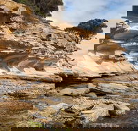 Maria Island premium private photo-oriented day tour from Hobart - Accommodation Broadbeach