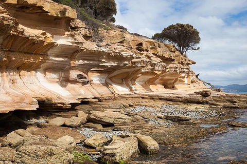 Maria Island Premium Private Photo-oriented Day Tour From Hobart - Accommodation Broadbeach 2