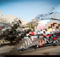 Trot Through Time - Accommodation Broadbeach