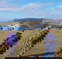 4-Day Hobart Adventure Tour Maria Island Cape Raoul Mount Field Cape Hauy - Accommodation Broadbeach