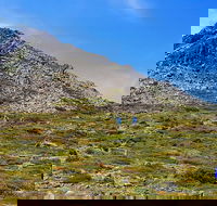 3-Day Hobart Adventure Tour Mount Field Cape Hauy and Hartz Peak - Accommodation Broadbeach