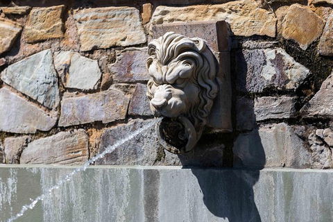 Adelaide 90-Minute Pedicab Tour: Scenic Green & River Experience - Accommodation Broadbeach 9