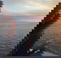 Hervey Bay Sunset Cruise - Accommodation Broadbeach