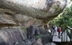 Kakadu, Nourlangie And Yellow Waters Tour From Darwin - thumb 35