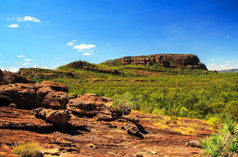 Kakadu, Nourlangie And Yellow Waters Tour From Darwin - Accommodation Broadbeach 34