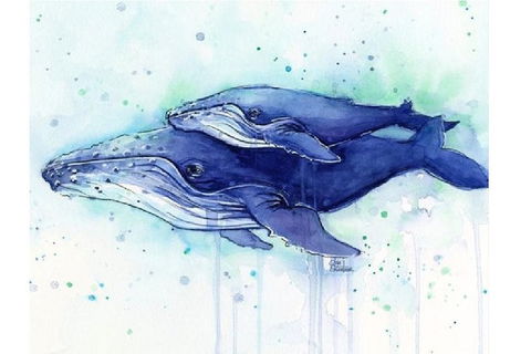 A Day At Sea - Six Tanks 3.00-5.00pm - Accommodation Broadbeach 0