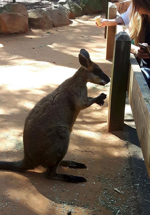 All Inclusive Blue Mountains Small-Group Day Trip From Sydney - Accommodation Broadbeach 25