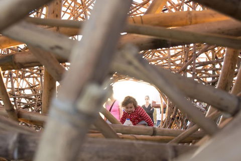 A Full Day In Sydney With A Local: Private & Personalized - Accommodation Broadbeach 5