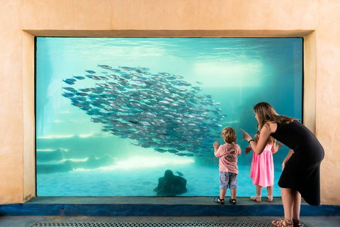 AQWA The Aquarium Of Western Australia - Accommodation Broadbeach 0