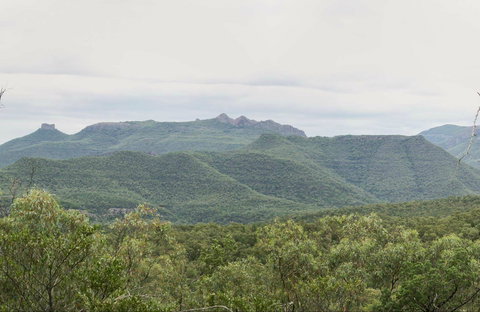 Deriah Aboriginal Information Bay - Accommodation Broadbeach 0