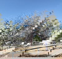 Gregory's Tree Timber Creek - Accommodation Broadbeach