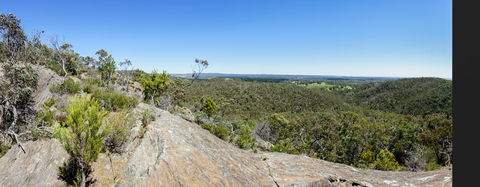 Hale Conservation Park - Accommodation Broadbeach 0