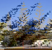 Kurrawa Park - Accommodation Broadbeach