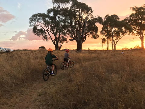 Mountain Bike Trails Tumbarumba - Accommodation Broadbeach 2