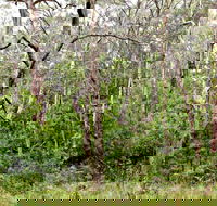 Scutts Hut Trail - Accommodation Broadbeach