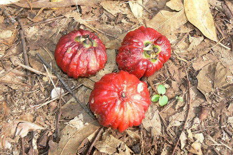 Window On The Wetlands - Accommodation Broadbeach 1