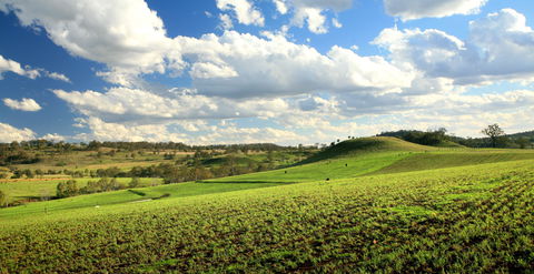 Lions Park, Hodgson Vale - Accommodation Broadbeach 0