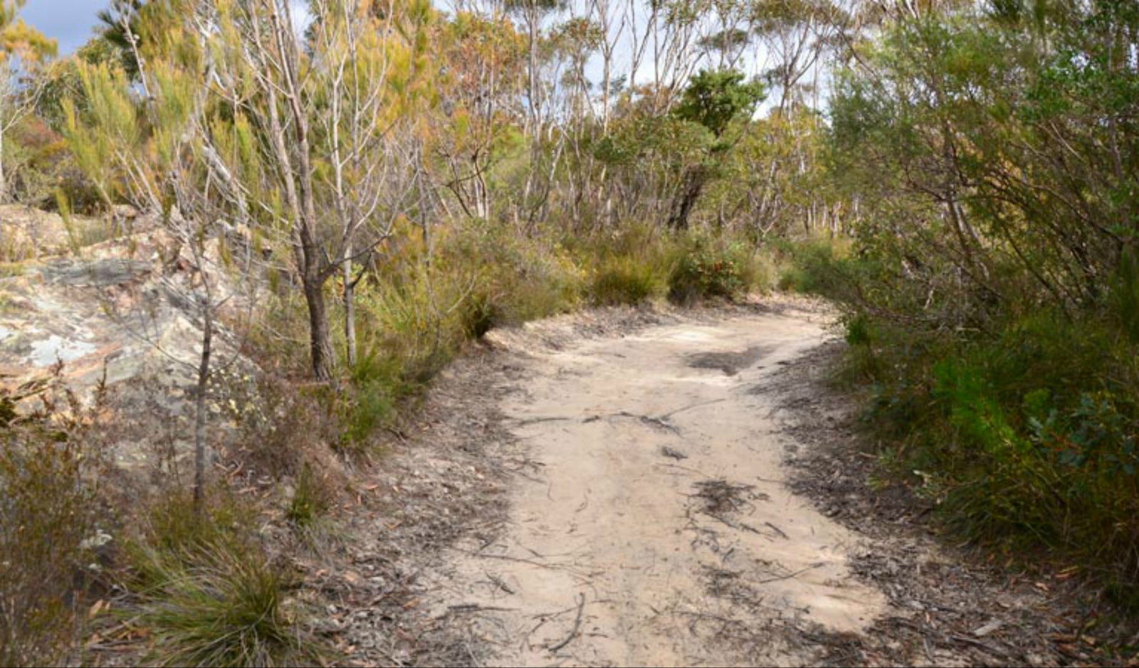 Browns Mountain NSW Accommodation Broadbeach