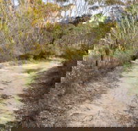 Red Rocks trig walking track - Accommodation Broadbeach
