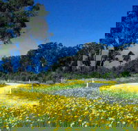 Shearer's Way - Accommodation Broadbeach