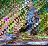 Wagirra Trail and Yindyamarra Sculpture Walk - Accommodation Broadbeach