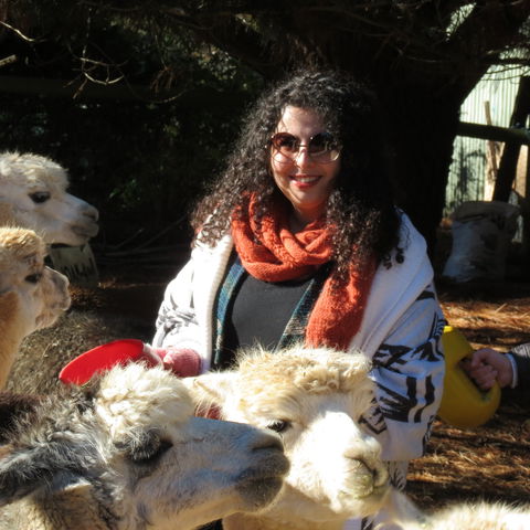 Alpaca Farm Experience At Crookwell - Accommodation Broadbeach 1