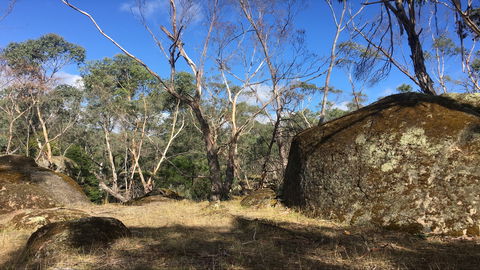 Bailey's Rocks - Dergholm State Park - Accommodation Broadbeach 0
