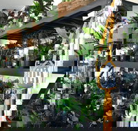 Fancy Plants - Accommodation Broadbeach