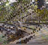 Governor Summit Corrunbral Borawah Walking Track - Accommodation Broadbeach