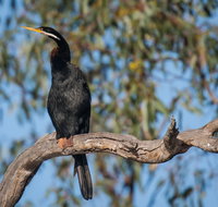 Greenough River Nature Trail - Accommodation Broadbeach