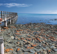 Hamelin Pool Stromatolites - Accommodation Broadbeach