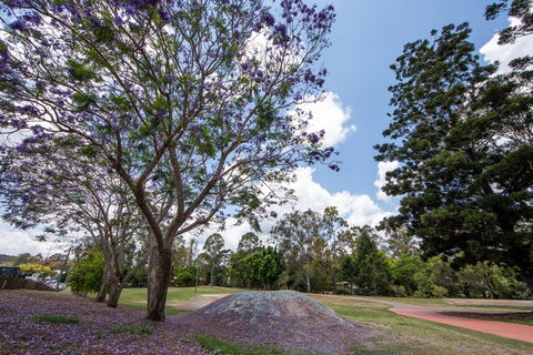 John Scott Park - Accommodation Broadbeach 0