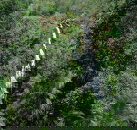 Mapleton Falls National Park - Accommodation Broadbeach