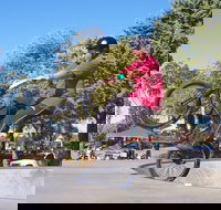 Millicent Skatepark - Accommodation Broadbeach