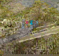 Walpole Wilderness Discovery Centre - Accommodation Broadbeach