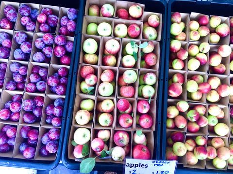 Adelaide Showground Farmers' Market - Accommodation Broadbeach 0