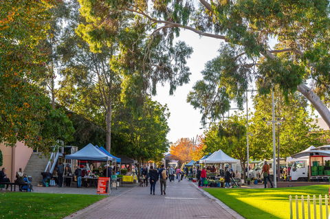 Adelaide Showground Farmers' Market - Accommodation Broadbeach 2