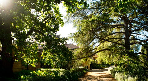 Anlaby - Accommodation Broadbeach 1