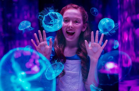 Australia's Sea World - Accommodation Broadbeach 0