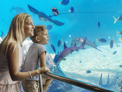 Australia's Sea World - Accommodation Broadbeach 2