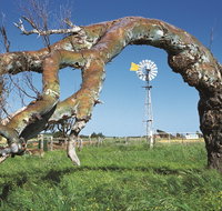 Greenough Leaning Trees - Accommodation Broadbeach