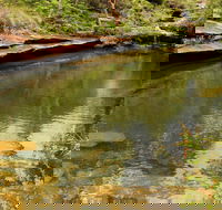 Hominy Creek Walking Track - Accommodation Broadbeach