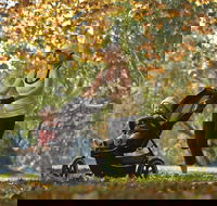 Noreuil Park - Accommodation Broadbeach