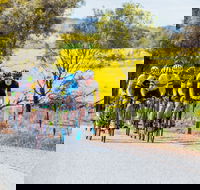 The Heron's Highway - Avon River Cycle Trail - Accommodation Broadbeach