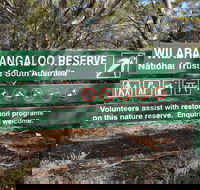 Wilabalangaloo Reserve - Accommodation Broadbeach