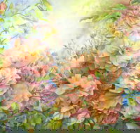 Barossa Chateau Artist in Residence - Accommodation Broadbeach