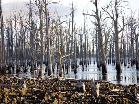 Derwent Valley And Central Highlands - Accommodation Broadbeach 1