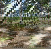 Djukbinj National Park - Accommodation Broadbeach