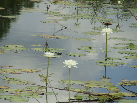 Djukbinj National Park - Accommodation Broadbeach 1